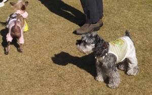 2014_113011-25しゅな４