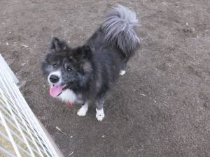 2014_113011-25マキー