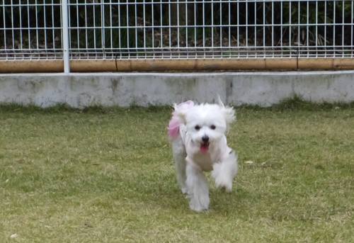 2014_111111-10める