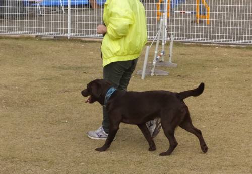 2014_112811-23ララ１