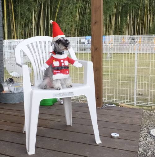 2014_111211-11クレア