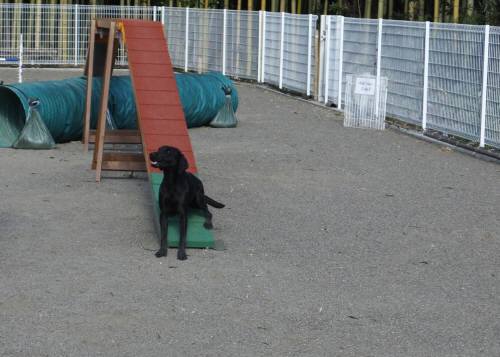 2014_111911-18ハル３