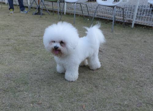 2014_112211-20アムル