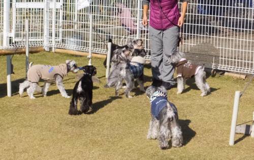 2014_113011-25しゅな１