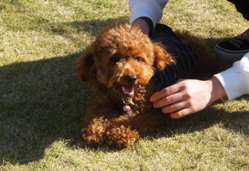 2014_111611-15ミトン