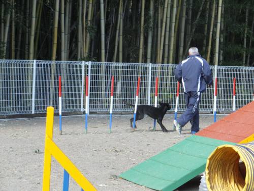 2014_111911-18ハル２