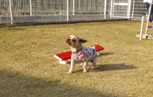 2014_112411-210040しんちゃん