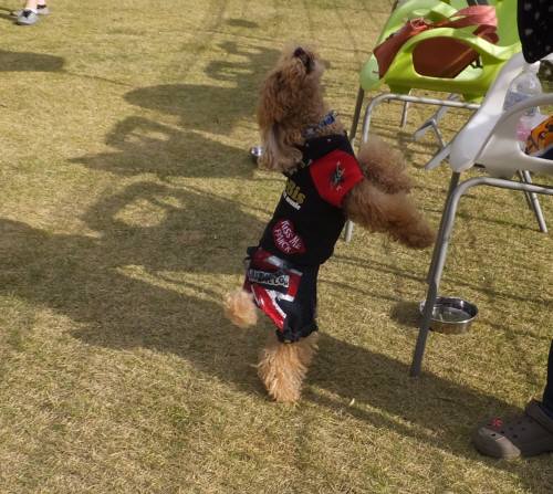 2014_111511-13マルクル