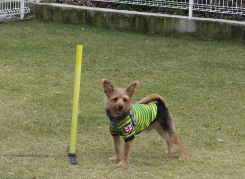 2014_110211-2ジャック