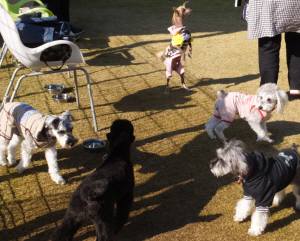 2014_113011-25しゅな２