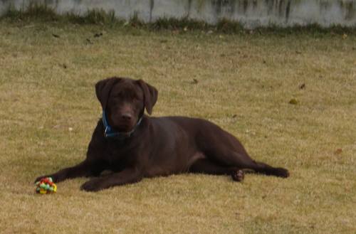 2014_112811-23ララ