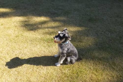 2014_112211-20まるちゃん