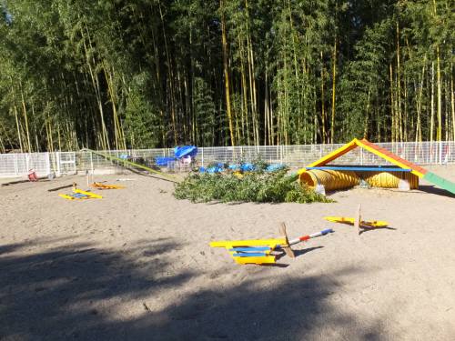 2014_111411-12被害