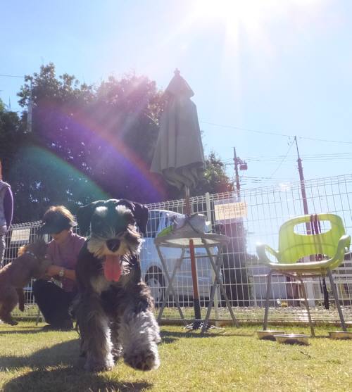 2014_110411-4ルネア