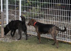 2014_113011-25さくらまりあ