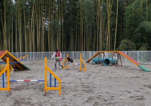 2014_110511-5さくら