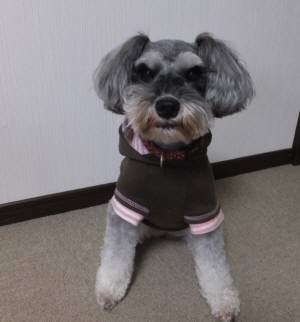 2014_112911-24マーヤ