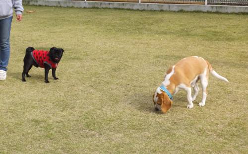 2014_110811-7ムサシてん