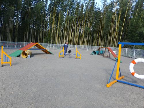 2014_111911-18ハルちゃん