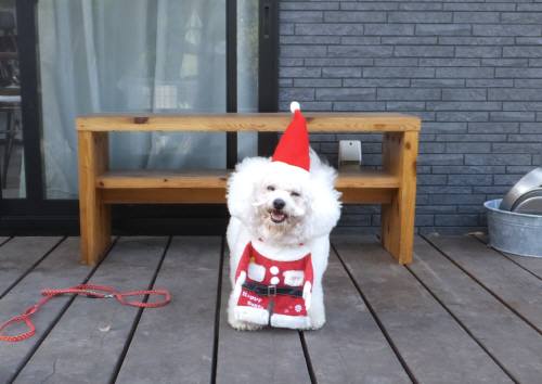 2014_111611-16アムルサンタ