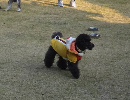 2014_112411-220001オトハ