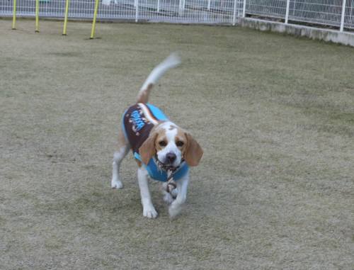 2014_112811-23ムサシ