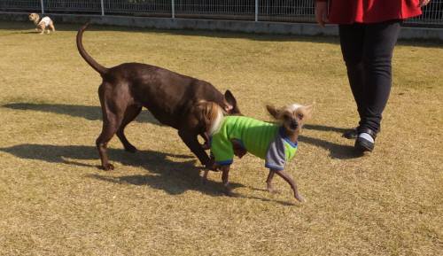 2014_112411-21ケン