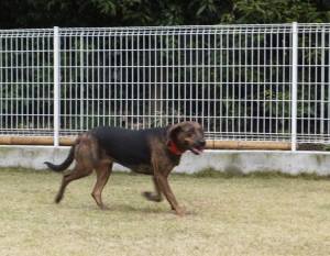 2014_113011-25マリア