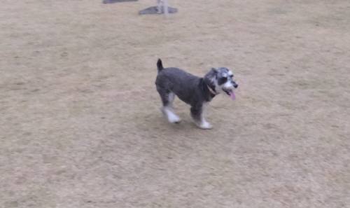 2014_113011-25チーク