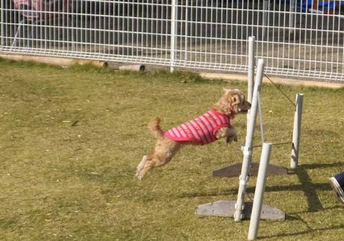 2014_111511-13くう