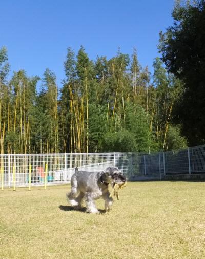 2014_110411-4クレア