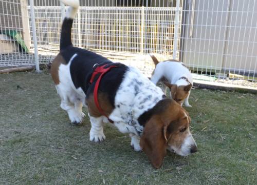 2014_111411-12マロンちゃん