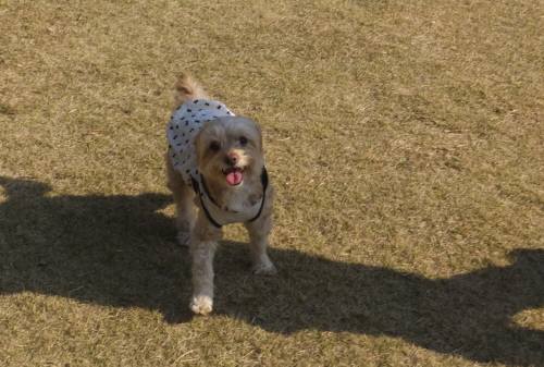 2014_112411-21クウ