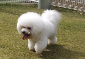 2014_110211-2あむる