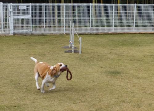 2014_111511-13むさし