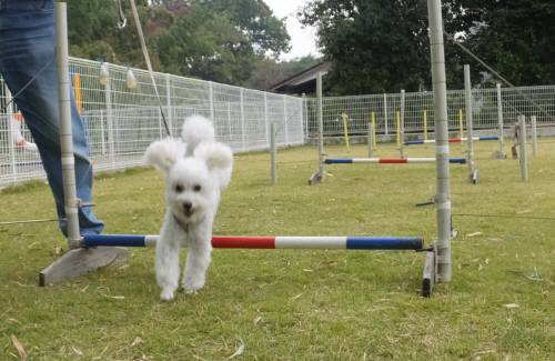 2014_103110-31たきいー２