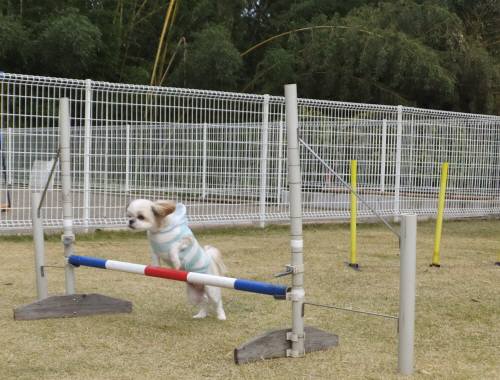 2014_111711-17ひめ