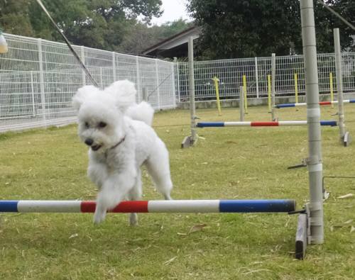 2014_103110-31タッキー