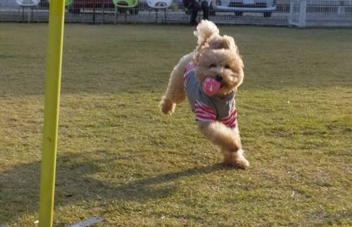 2014_111611-16ソナ