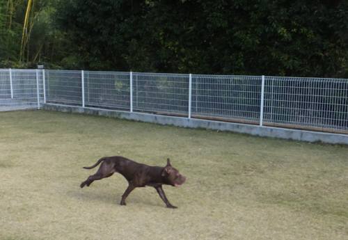 2014_112411-21サラ