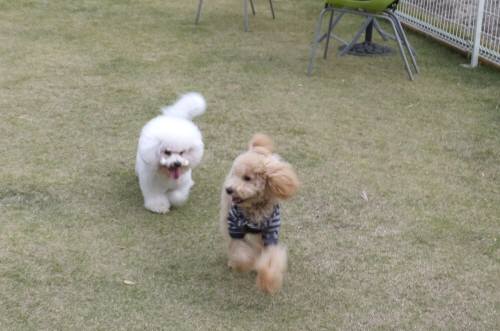 2014_110811-7ソラとアムル