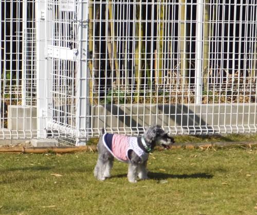 2014_110811-7ポップ