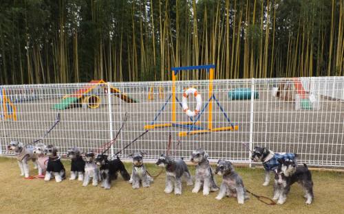 2014_113011-25集合１