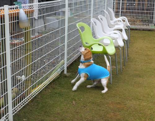 2014_110111-1むさし