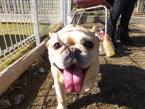 2014_113011-25ギャル