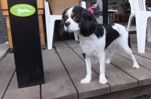 2014_113011-25あられ