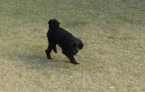 2014_112411-21ウルー