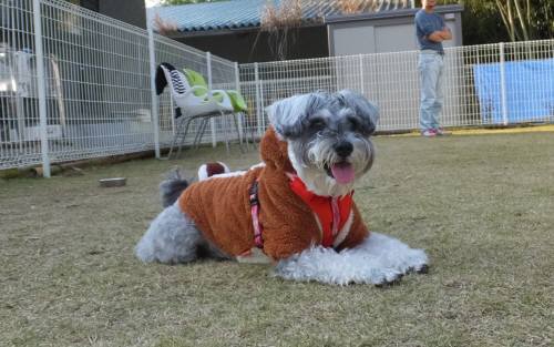 2014_112411-210047カノンちゃん