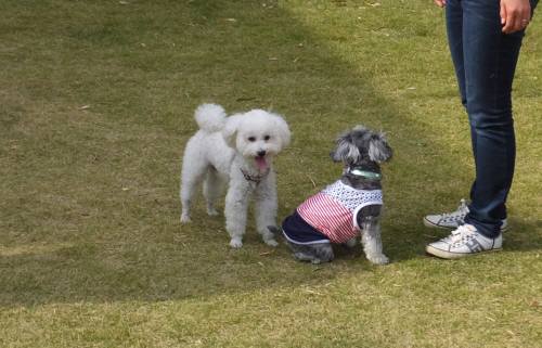 2014_110811-7タッキーポップ