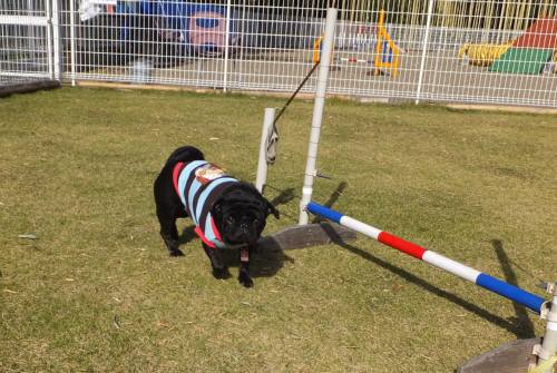 2014_111611-14てん